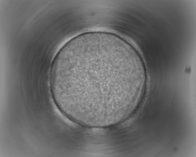 X0000111790847200909031155