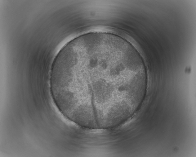 X0000111790853200909031155