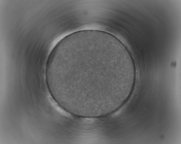 X0000111790854200909031155