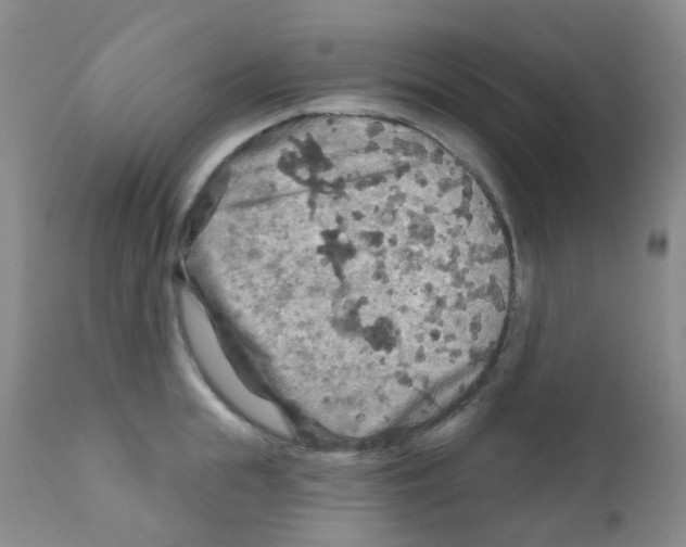 X0000111790855200909031155