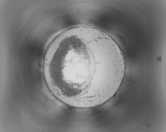 X0000111790856200909031155