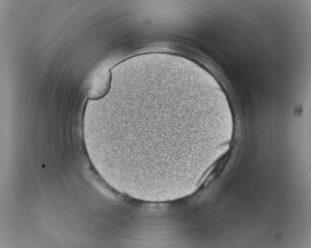 X0000111790858200909031155