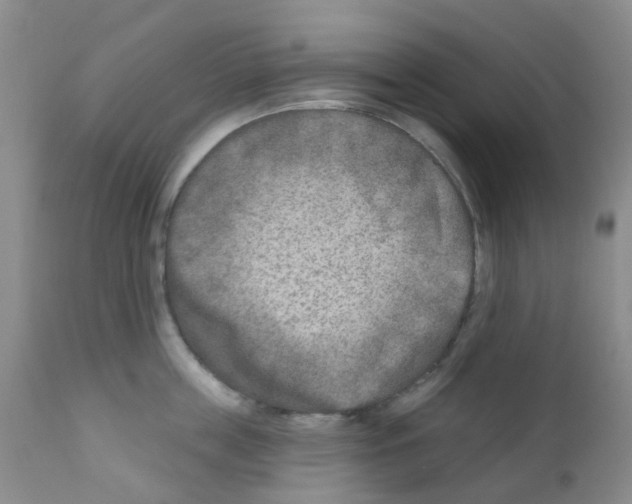 X0000111790859200909031155