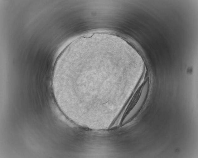 X0000111790860200909031155