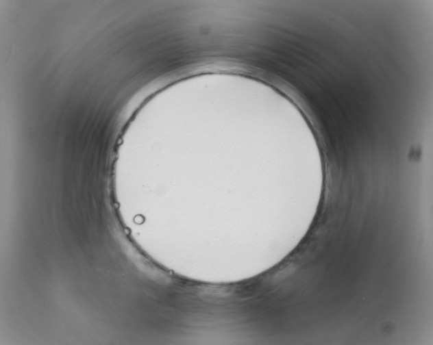 X0000111790861200909031155