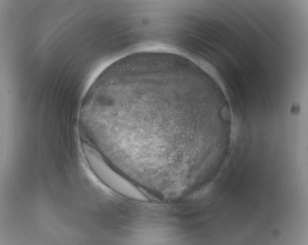 X0000111790863200909031155