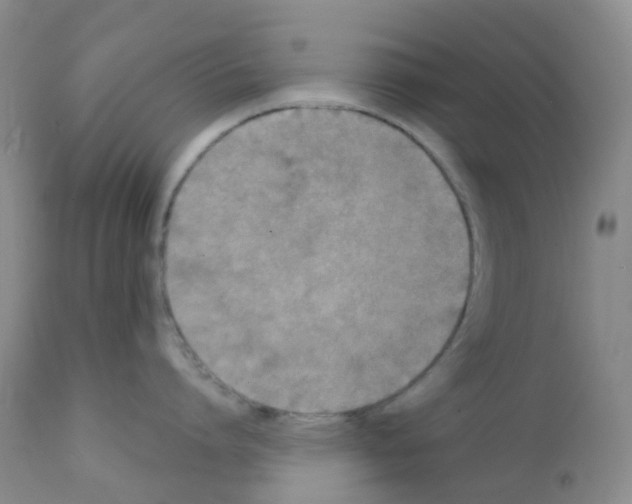 X0000111790864200909031155