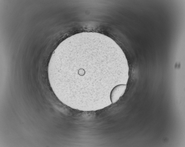 X0000111790865200909031155