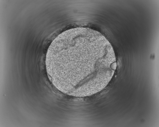 X0000111790867200909031155