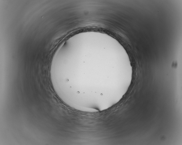 X0000111790869200909031155