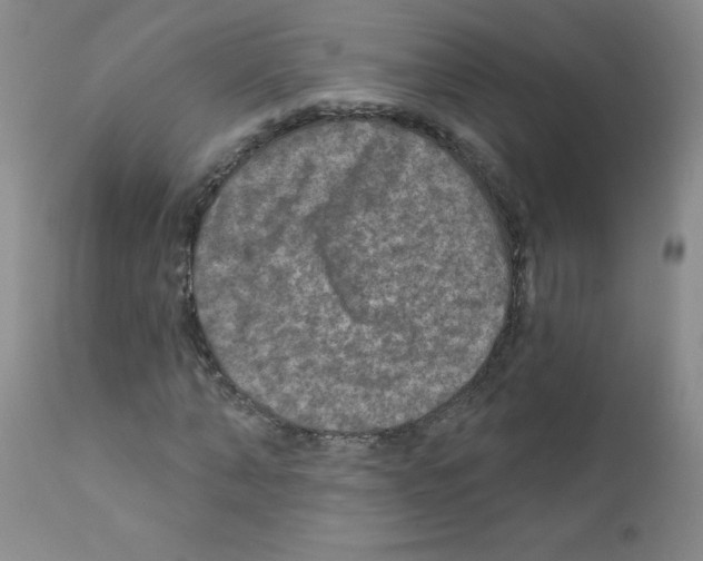 X0000111790870200909031155