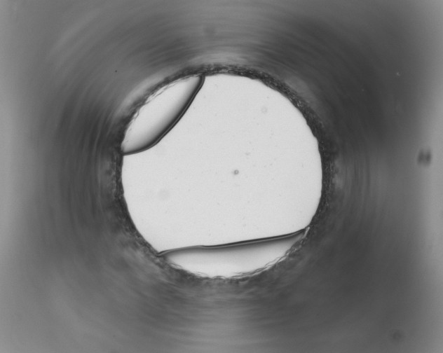 X0000111790872200909031154