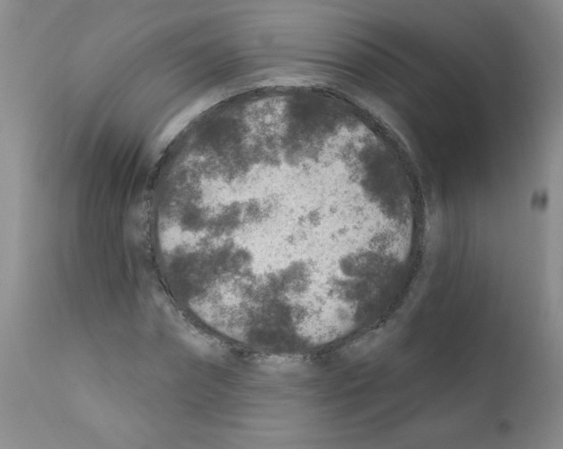 X0000111790874200909031154