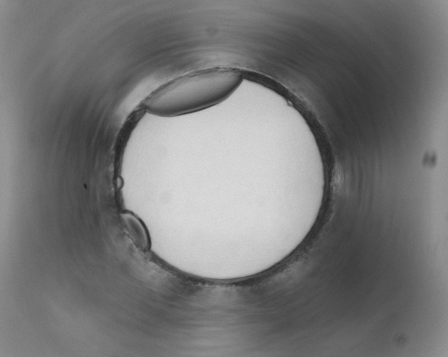 X0000111790877200909031154