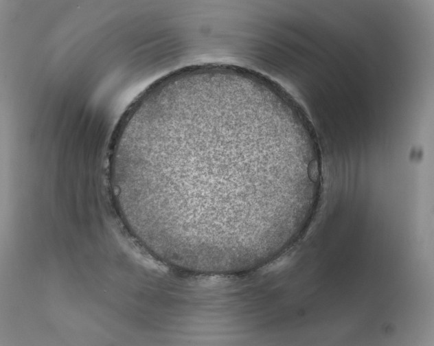 X0000111790879200909031154