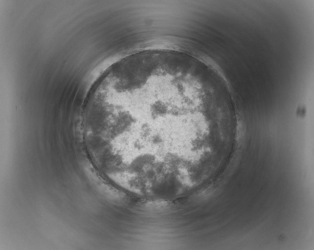 X0000111790882200909031154