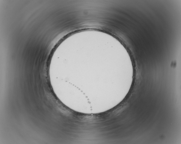 X0000111790883200909031154