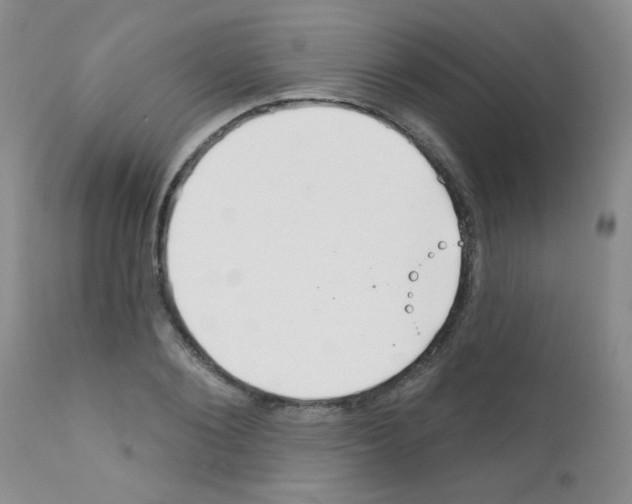 X0000111790884200909031154