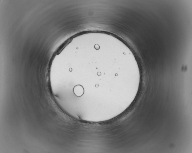 X0000111790885200909031154