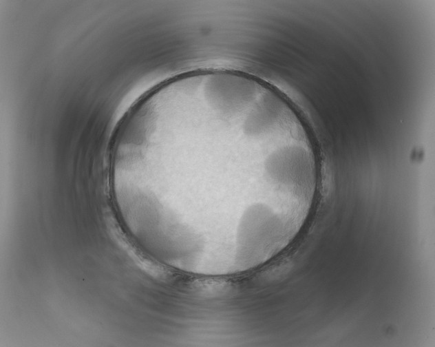 X0000111790886200909031154