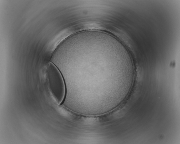 X0000111790889200909031154