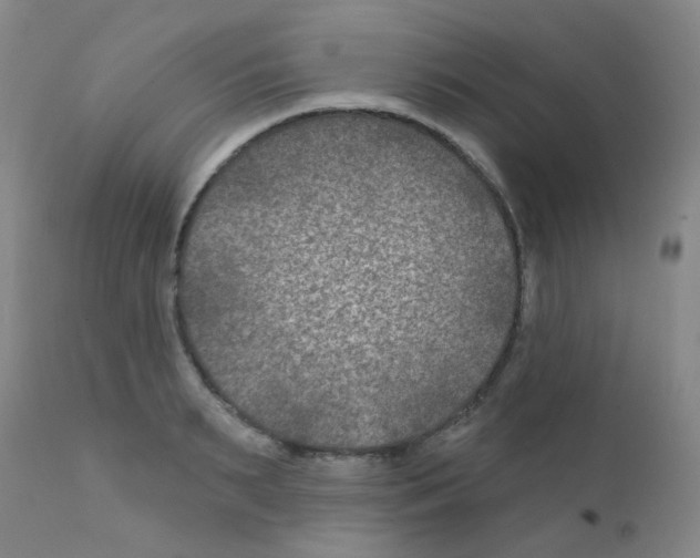 X0000111790895200909031154