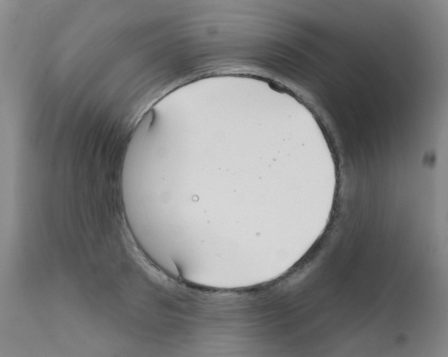 X0000111790897200909031154