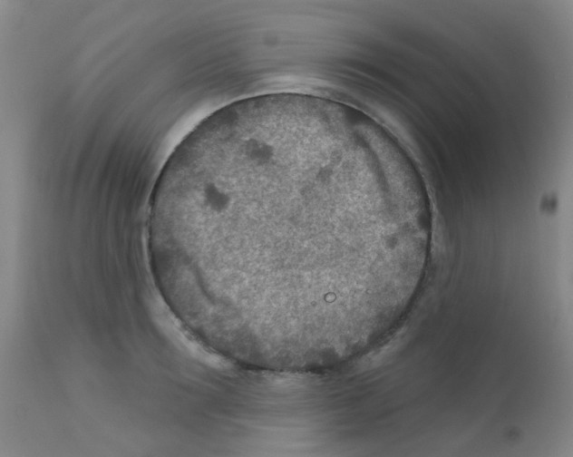 X0000111790899200909031154