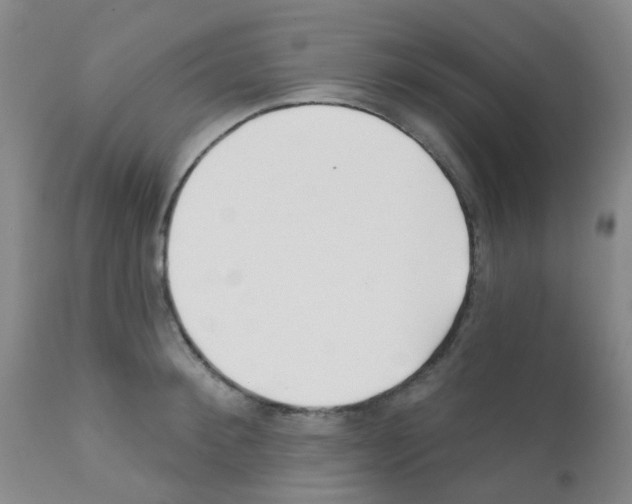 X0000111790900200909031154