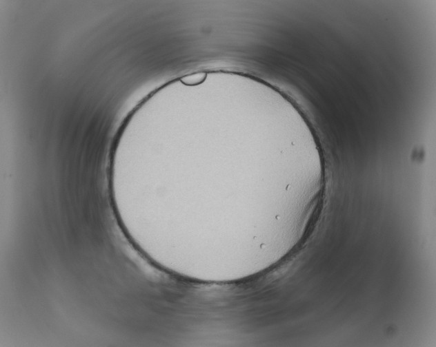 X0000111790902200909031154