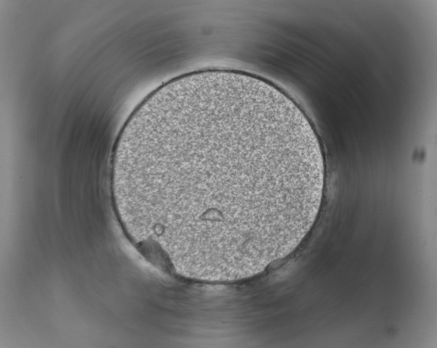 X0000111790903200909031154