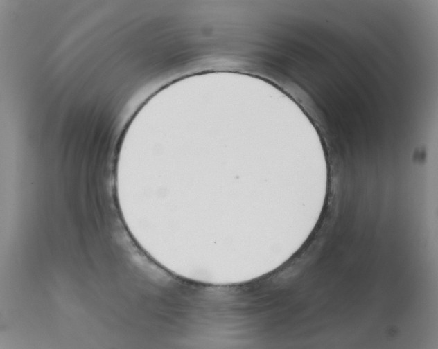 X0000111790904200909031154