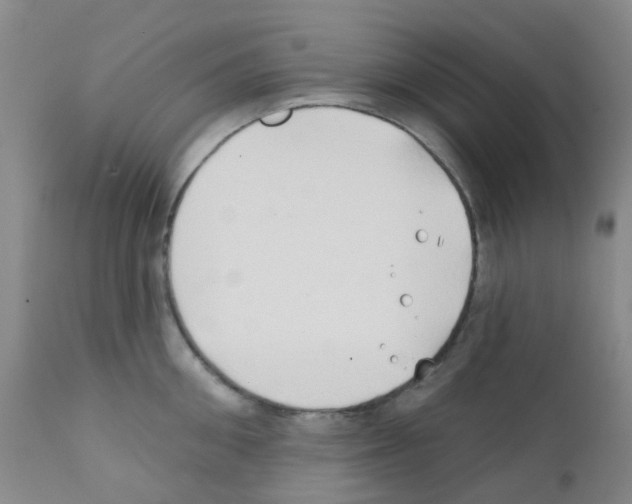 X0000111790906200909031154