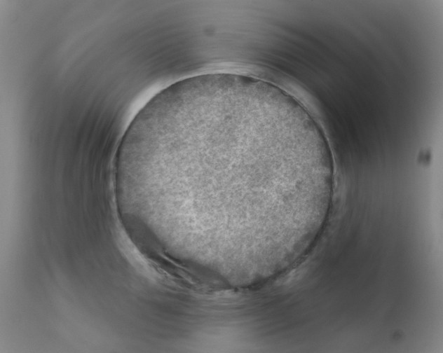 X0000111790907200909031154