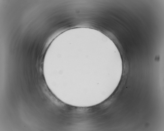 X0000111790908200909031154