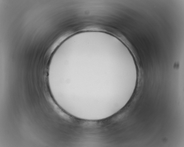 X0000111790909200909031154