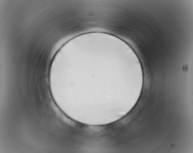 X0000111790910200909031154