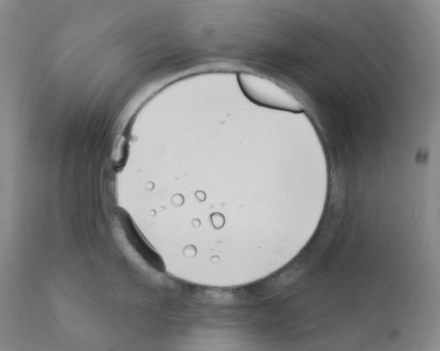 X0000111790911200909031154