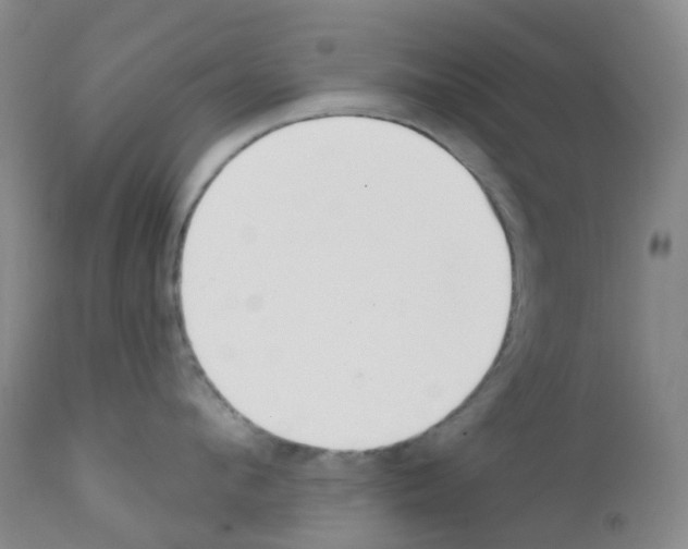 X0000111790912200909031154