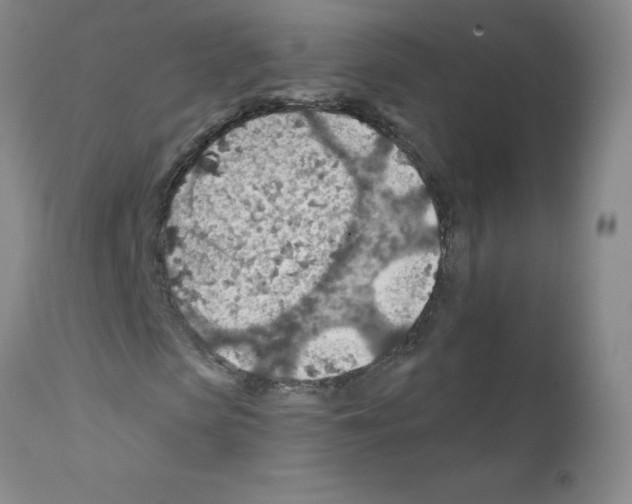 X0000111790913200909031153