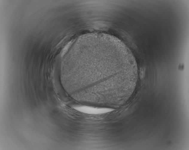 X0000111790915200909031153