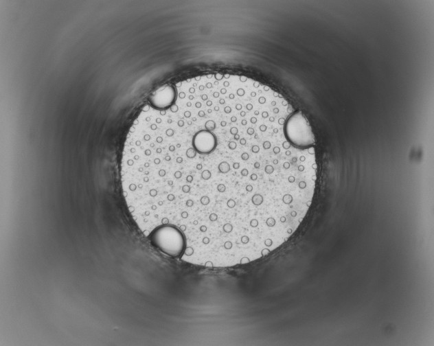 X0000111790918200909031153