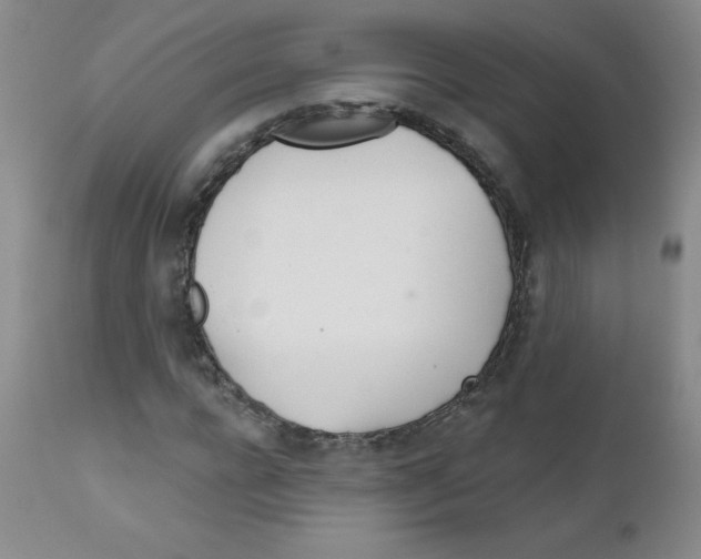 X0000111790920200909031153