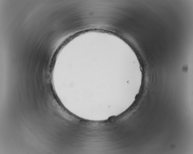 X0000111790924200909031153