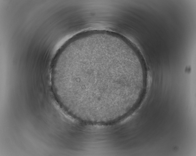 X0000111790925200909031153