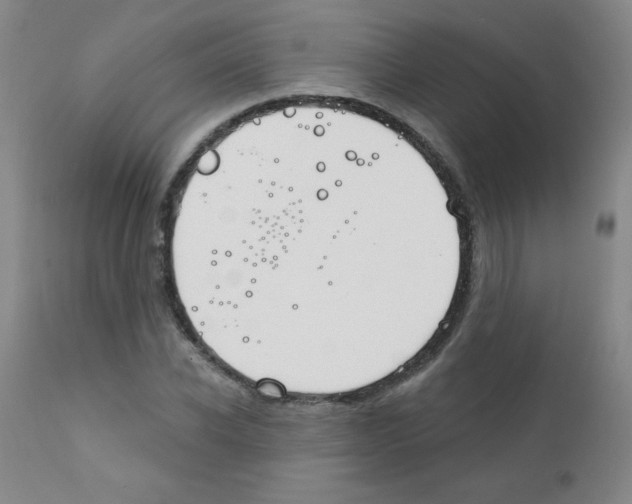 X0000111790926200909031153