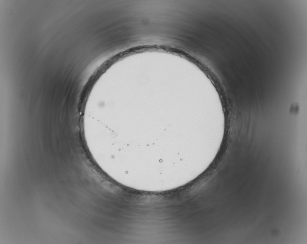 X0000111790927200909031153