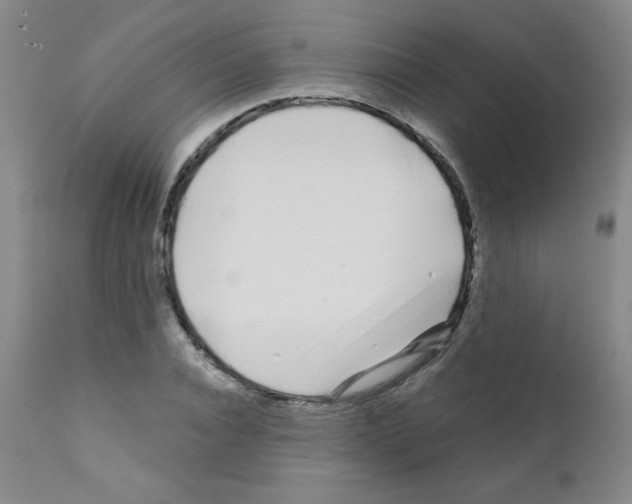 X0000111790928200909031153