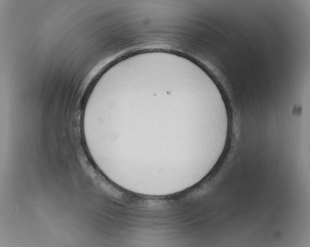 X0000111790933200909031153