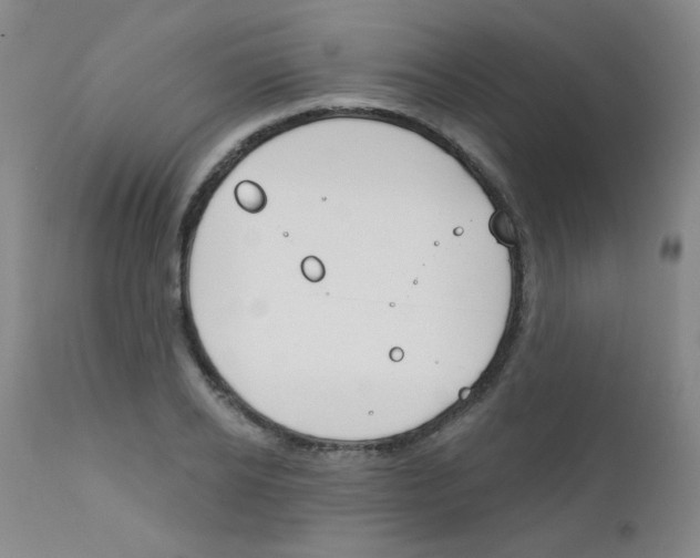 X0000111790934200909031153